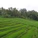 2005_indonesiatrip_253_2